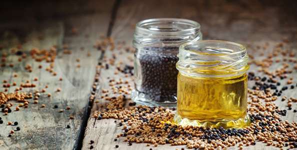 Black Seed Oil Benefits and Uses