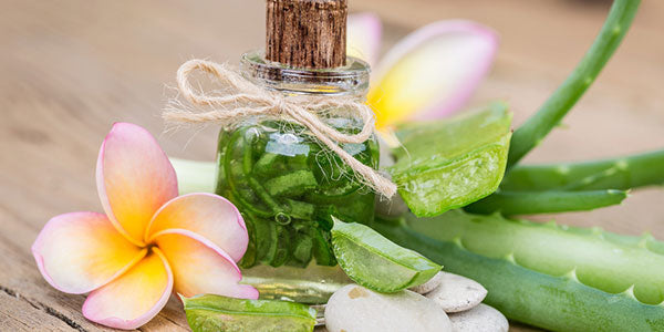 Everyone is Drinking Aloe Juice... Should You Be Too?