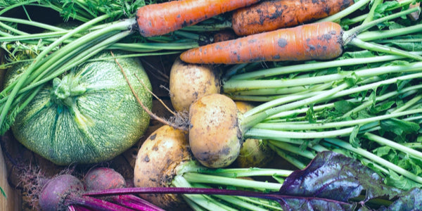 The Mega Benefits of Root Vegetables & How to Use