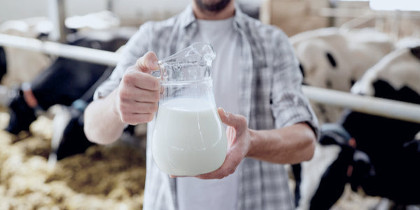 Effects of the Dairy Industry on Digestive Health