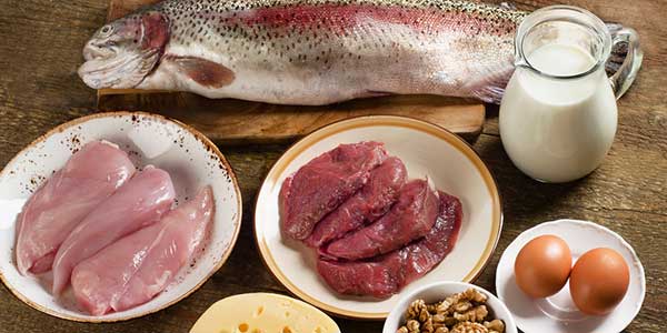 The 12 Best High-Protein Foods to Boost Your Metabolism
