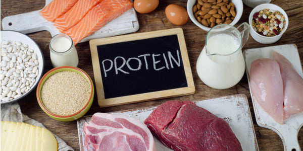 Benefits of Weight Loss with a High Protein, Low-Carb Diet