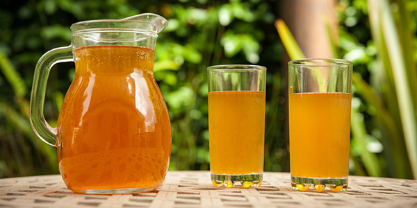 The Truth Behind the Kombucha Craze