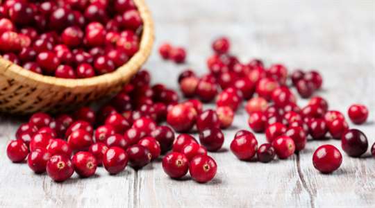 Get To Know Your Cranberries