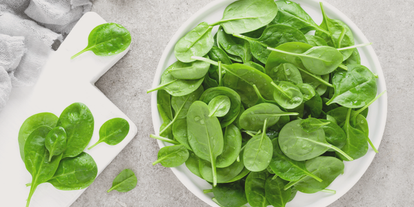 The Almighty Spinach: Nutrition Facts, Benefits & Recipes