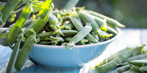 Quick Italian Flat Beans Recipe