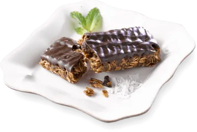 Chocolate Granola Protein Bar