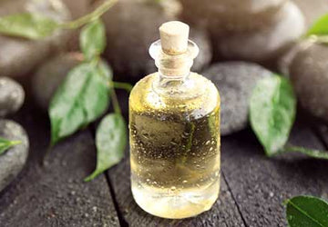 10 Tea Tree Oil Benefits and Uses