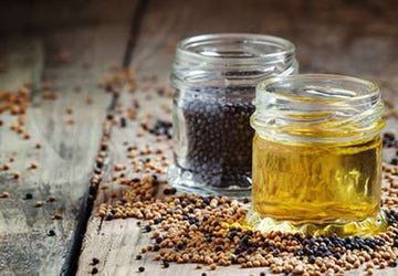 Black Seed Oil Benefits and Uses