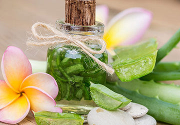 Everyone is Drinking Aloe Juice... Should You Be Too?