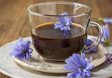 What Exactly is Chicory Good For?