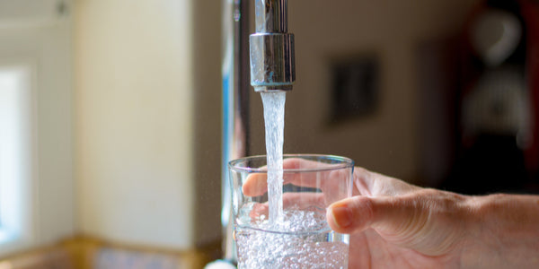 Drinking Water: Are You Trapped by Your Tap?