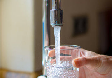 Drinking Water: Are You Trapped by Your Tap?