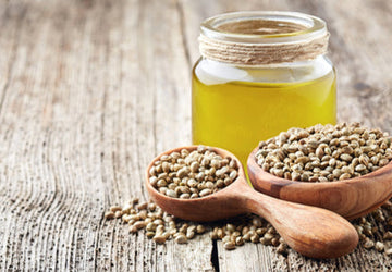 15 Hemp Seeds Benefits & Uses