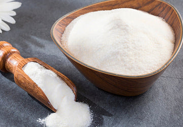 Everything You Need to Know About Collagen