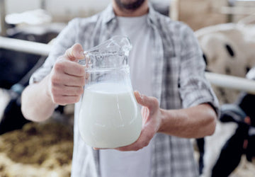 Effects of the Dairy Industry on Digestive Health