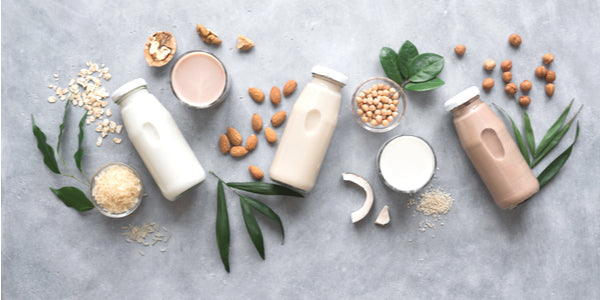 The Evolution of Plant-Based Milk Alternatives