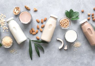 The Evolution of Plant-Based Milk Alternatives