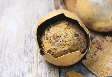 Monk Fruit: The Low-Calorie Fruit You Must Know About