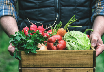 Organic vs. Non-Organic: Does It Really Matter?