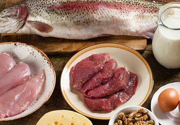 The 12 Best High-Protein Foods to Boost Your Metabolism