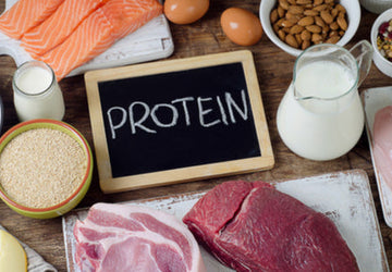 Benefits of Weight Loss with a High Protein, Low-Carb Diet