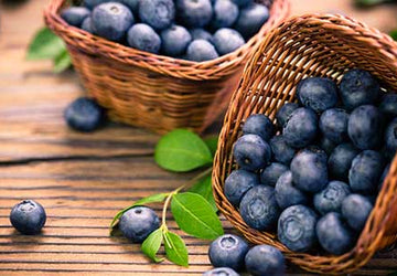 15 Best Foods for Kidney Problems