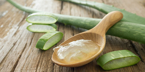 The Ultimate 5 Things You Can Do with Aloe Vera