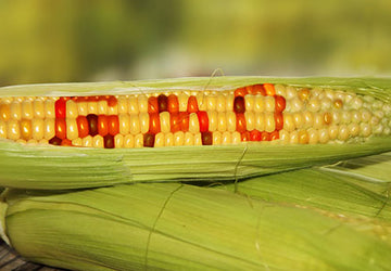 The GMO Labeling Issue and Why It Matters to You