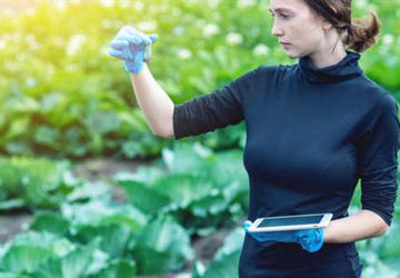 Why it's Better to Shop Small