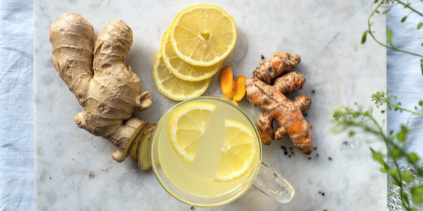 All About the Ginger Plant: Benefits, Uses & More