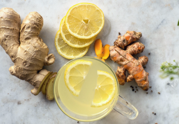 All About the Ginger Plant: Benefits, Uses & More