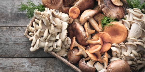 Are Mushrooms Good for You? Mushroom Nutrition & More