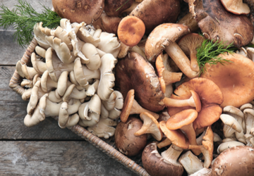 Are Mushrooms Good for You? Mushroom Nutrition & More