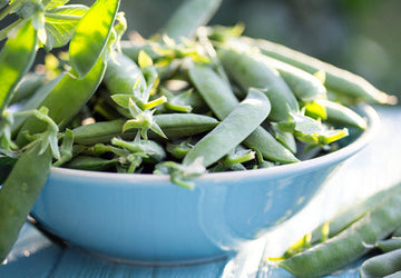 Quick Italian Flat Beans Recipe