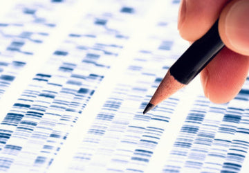 What Is the Link Between Genetics and Weight Loss?